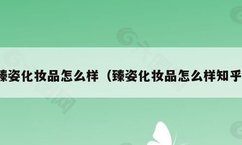 臻姿化妆品怎么样（臻姿化妆品怎么样知乎）