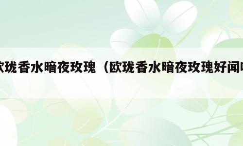 欧珑香水暗夜玫瑰（欧珑香水暗夜玫瑰好闻吗）