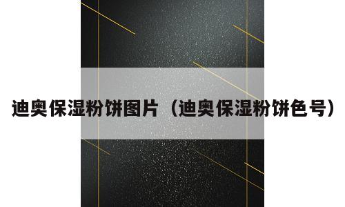 迪奥保湿粉饼图片（迪奥保湿粉饼色号）