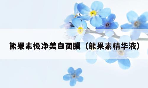 熊果素极净美白面膜（熊果素精华液）