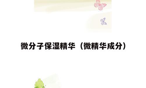 微分子保湿精华（微精华成分）