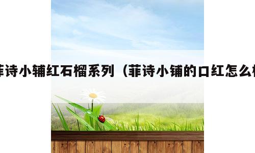 菲诗小辅红石榴系列（菲诗小铺的口红怎么样）