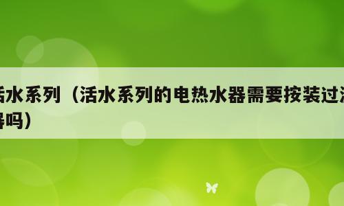 活水系列（活水系列的电热水器需要按装过滤器吗）