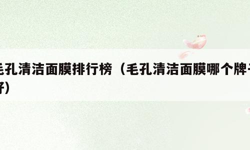 毛孔清洁面膜排行榜（毛孔清洁面膜哪个牌子好）