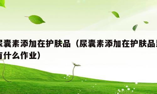 尿囊素添加在护肤品（尿囊素添加在护肤品里有什么作业）