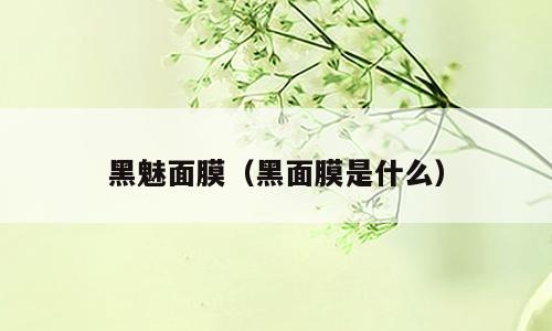 黑魅面膜（黑面膜是什么）