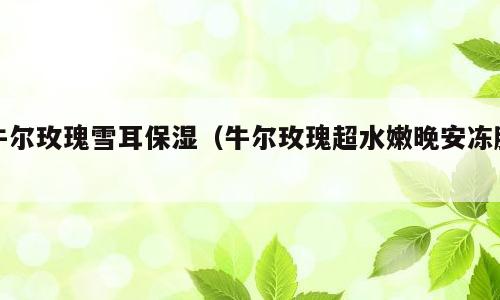牛尔玫瑰雪耳保湿（牛尔玫瑰超水嫩晚安冻膜）