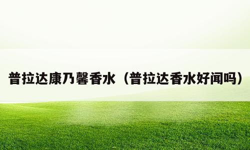 普拉达康乃馨香水（普拉达香水好闻吗）