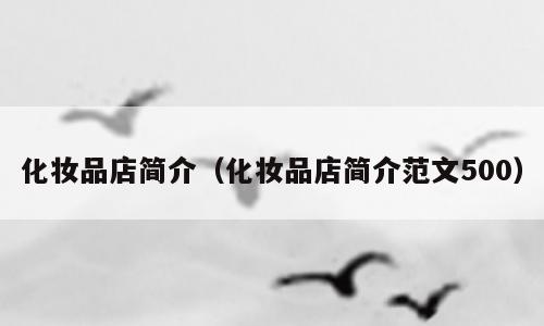 化妆品店简介（化妆品店简介范文500）