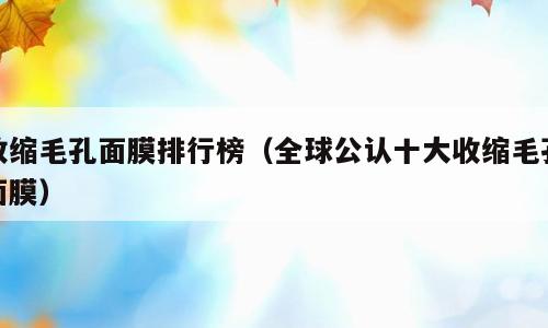 收缩毛孔面膜排行榜（全球公认十大收缩毛孔面膜）