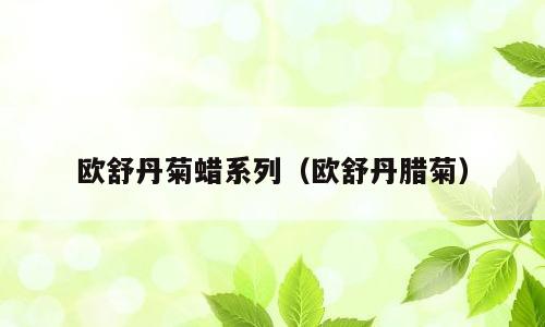 欧舒丹菊蜡系列（欧舒丹腊菊）