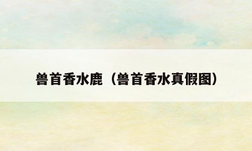 兽首香水鹿（兽首香水真假图）