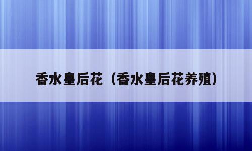 香水皇后花（香水皇后花养殖）