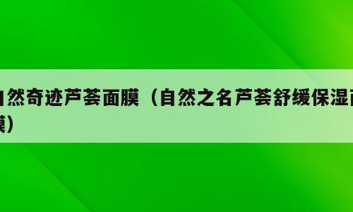 自然奇迹芦荟面膜（自然之名芦荟舒缓保湿面膜）