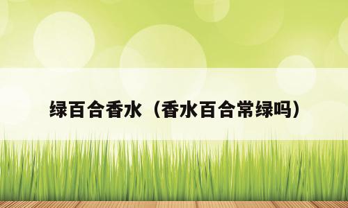 绿百合香水（香水百合常绿吗）