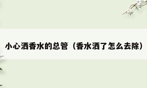 小心洒香水的总管（香水洒了怎么去除）