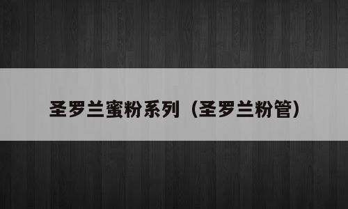 圣罗兰蜜粉系列（圣罗兰粉管）