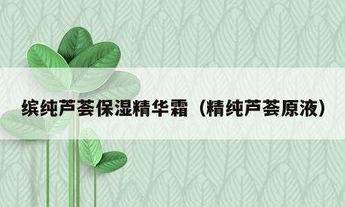 缤纯芦荟保湿精华霜（精纯芦荟原液）
