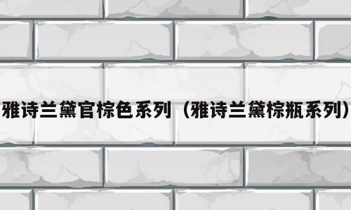雅诗兰黛官棕色系列（雅诗兰黛棕瓶系列）