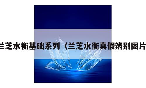 兰芝水衡基础系列（兰芝水衡真假辨别图片）