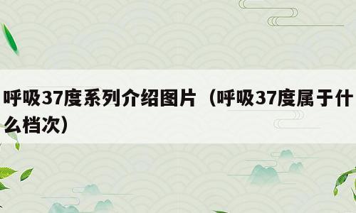 呼吸37度系列介绍图片（呼吸37度属于什么档次）