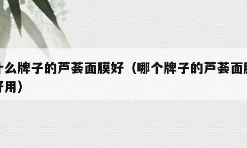 什么牌子的芦荟面膜好（哪个牌子的芦荟面膜好用）