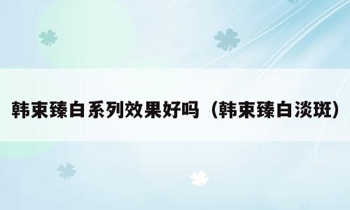 韩束臻白系列效果好吗（韩束臻白淡斑）