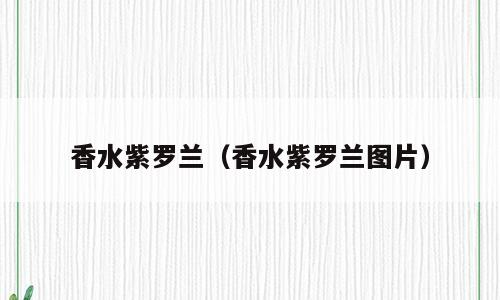 香水紫罗兰（香水紫罗兰图片）