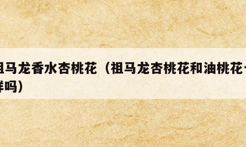 祖马龙香水杏桃花（祖马龙杏桃花和油桃花一样吗）