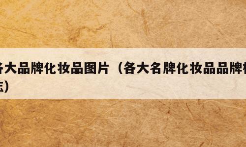 各大品牌化妆品图片（各大名牌化妆品品牌标志）