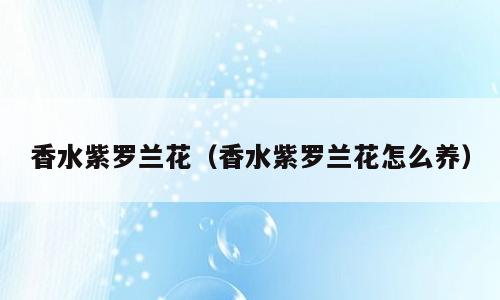香水紫罗兰花（香水紫罗兰花怎么养）