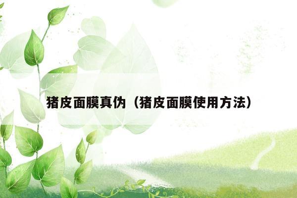 猪皮面膜真伪（猪皮面膜使用方法）