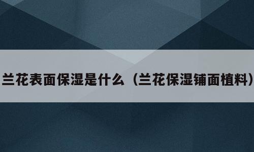 兰花表面保湿是什么（兰花保湿铺面植料）